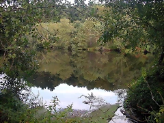 DSCN5289 DSCN5289