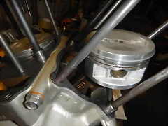 DSCN1799 DSCN1799