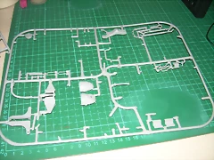 DSCN2251 DSCN2251