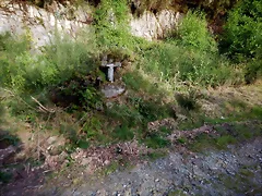 DSCN2103 DSCN2103