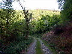DSCN2102 DSCN2102