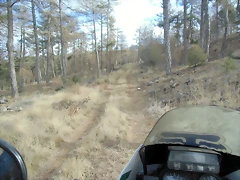 CIMG0706 CIMG0706