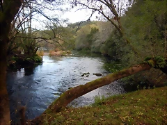 DSCN3751 DSCN3751