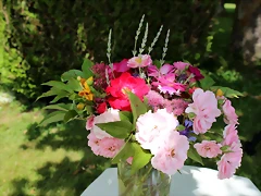 IMG_6478 IMG_6478