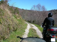 DSCN7933 DSCN7933