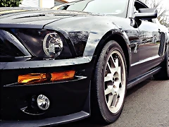 DSC_3488 DSC_3488