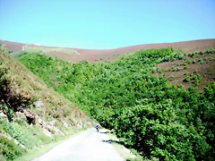 DSCF2667 DSCF2667