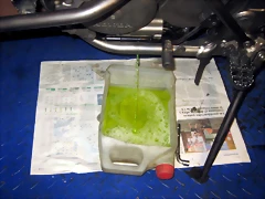 IMG_1613 IMG_1613