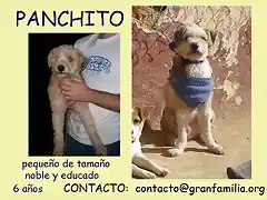 PANCHITO Sevilla