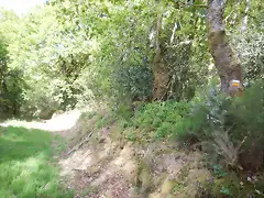DSCN2091 DSCN2091