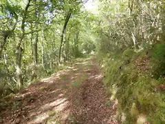 DSCN2092 DSCN2092