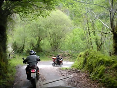 DSCN4690 DSCN4690