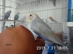 CIMG1364 CIMG1364