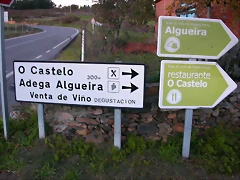 DSCN6576