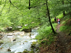 IMG_7695 IMG_7695