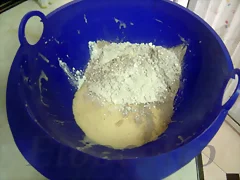 18499177622D494AE41B2D494AE316.jpg